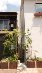 写真：家の前、接道部に植えられた樹木