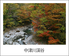写真：中津川渓谷