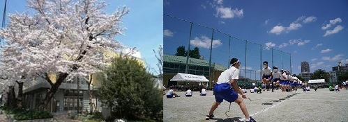 写真左：桜花爛漫の校舎、写真右：運動会での大縄跳び