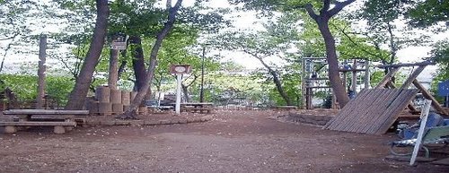 写真：銀杏稲荷公園