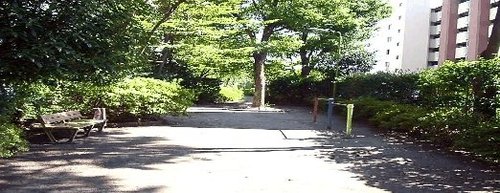 写真：高井戸いずみ公園