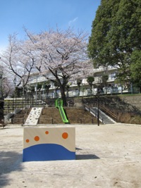 写真：和田さくらの坂公園