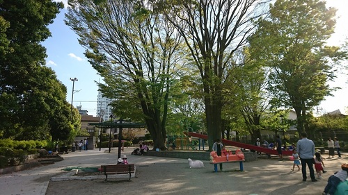 下高井戸公園の写真