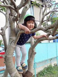木登りをする女の子の写真
