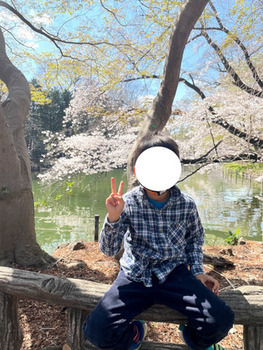 桜の木と子どもの写真