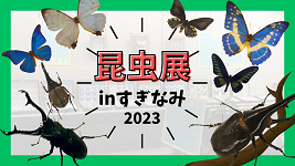 昆虫展inすぎなみ2023