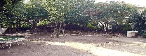 写真：阿佐谷かりん公園