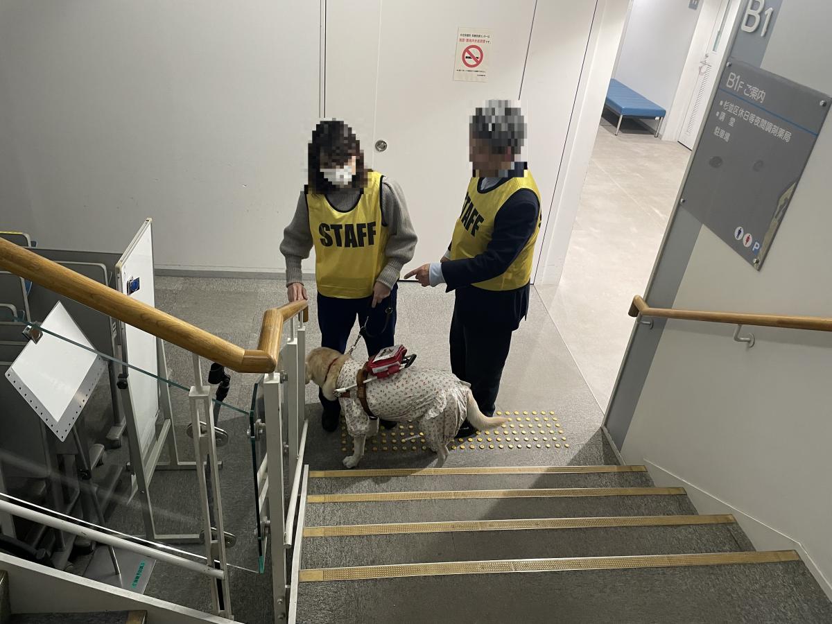 検証の様子