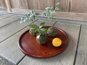 苔玉サンプル画像