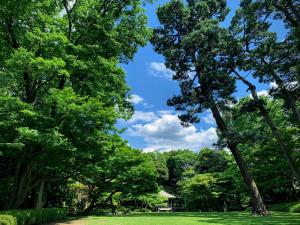 大田黒公園芝生エリア