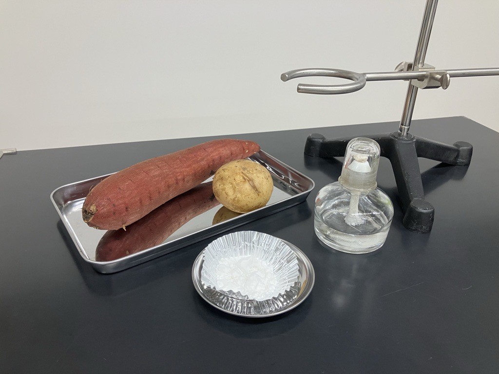「もっと食べものを【化学】で楽しもう」コースのイメージ画像