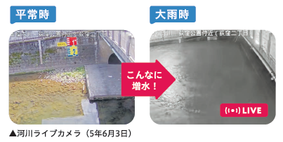 平常時から大雨時の増水の様子