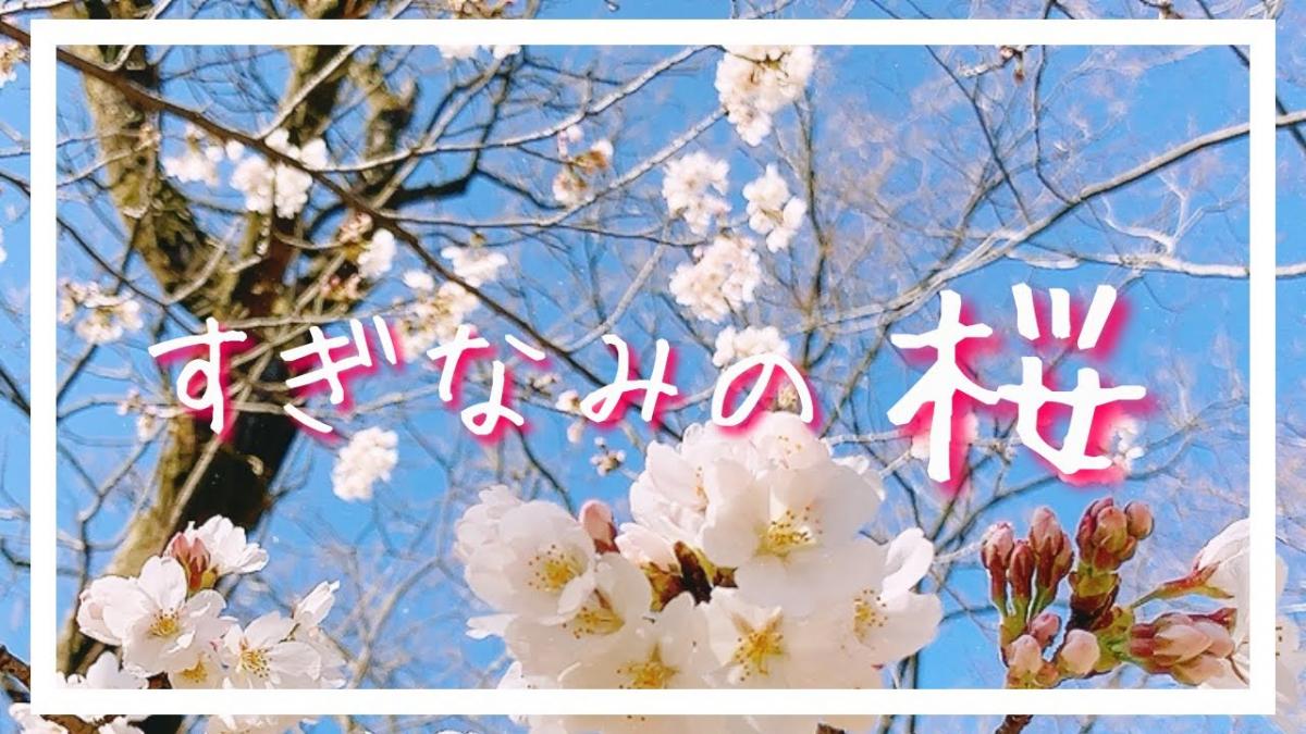 企画展「サイタ サイタ サクラ ガ サイタ」