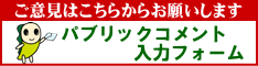 ご意見はこちらからお願いします　パブリックコメント入力フォーム