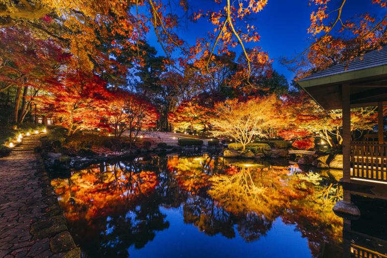ライトアップの様子（園内）