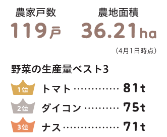 農家戸数119戸、農地面積36.21ha、野菜の生産量ベスト3の1位トマト81トン、2位ダイコン75トン、3位ナス71トン