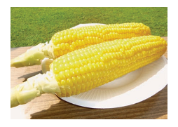 とうもろこし