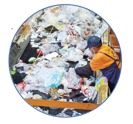 選別している様子