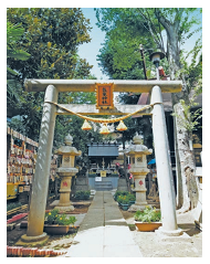 高円寺氷川神社の鳥居