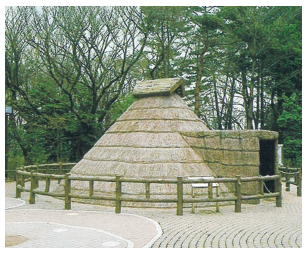 塚山公園の縄文時代遺跡