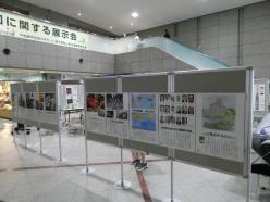 pic3