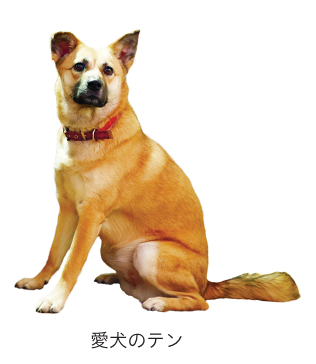 愛犬のテン