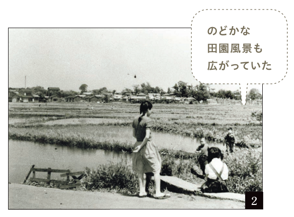のどかな田園風景も広がっていた
