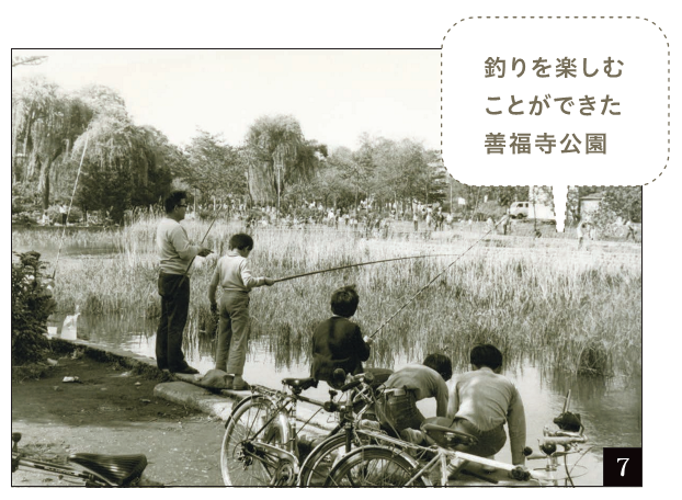 釣りを楽しむことができた善福寺公園