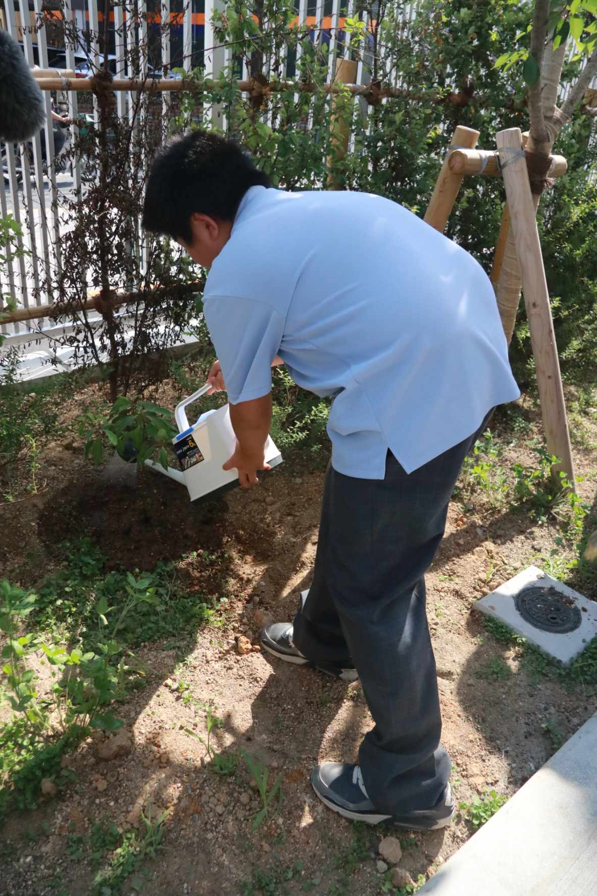 水やり