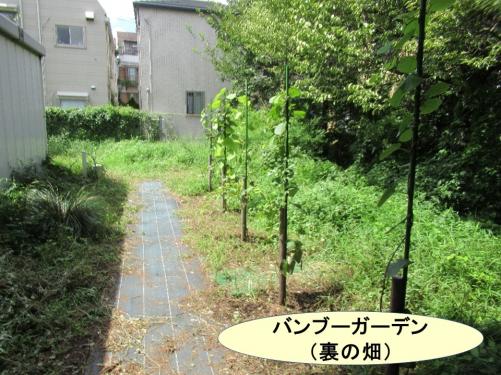 バンブーガーデン