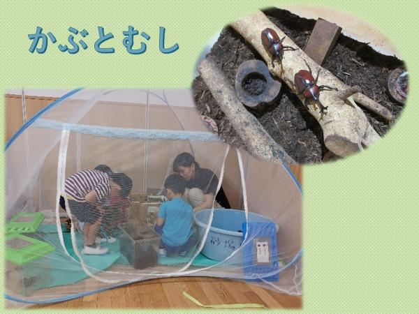 かぶとむし