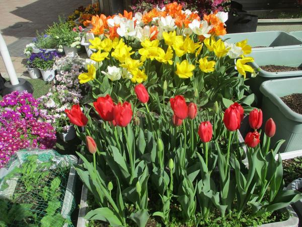 花
