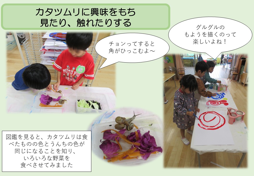 6月4歳児。カタツムリに興味をもち見たり、触れたりする