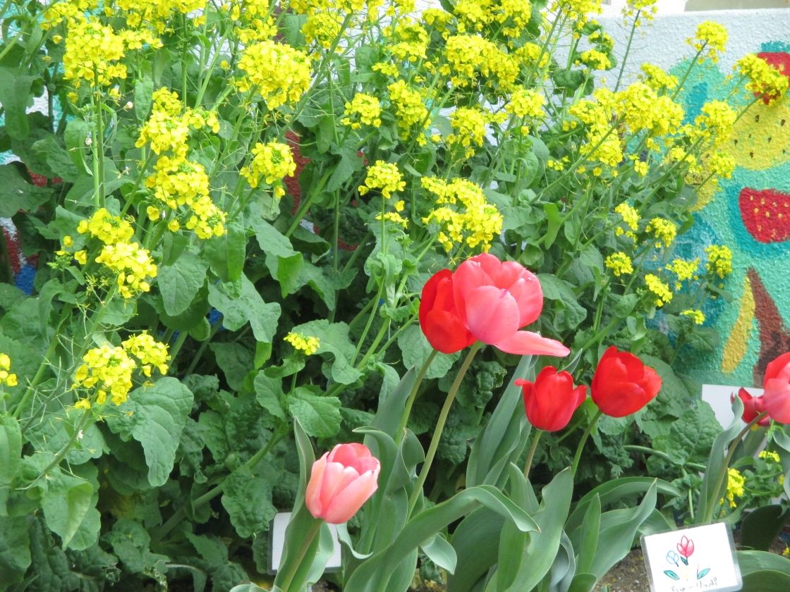 花壇
