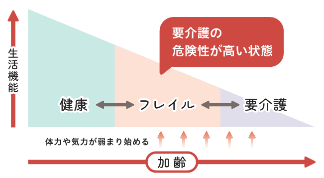 健康な状態と要介護状態の間にあるフレイルを示す図。加齢と共に生活機能が低下し、体力や気力が弱まり始め、要介護の危険性が高い状態。