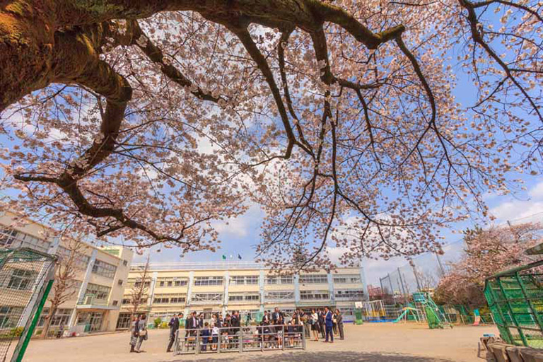 学校風景写真1