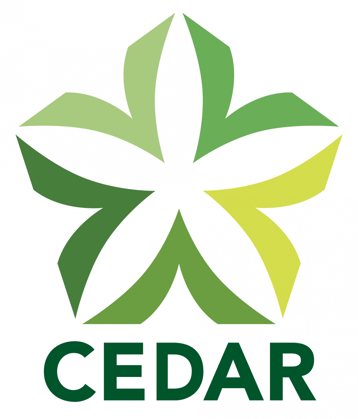 シダーロゴマーク