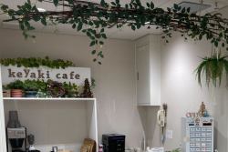 keyaki cafe