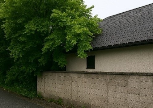 樹木が隣地や住宅に越境している様子