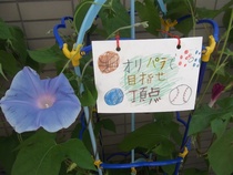 写真：桃井第五小学校