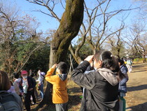 写真：井荻小学校